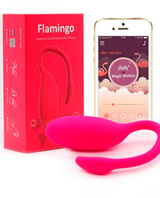 Flamingo Magic Motion